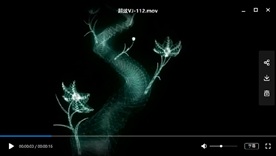 LED视频动态背景光效素材