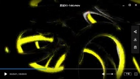 LED视频动态背景光效素材