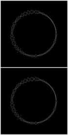 MOV登录浏览动态视频动画