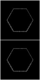 MOV登录浏览动态视频动画