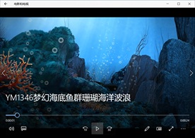 海底世界气泡珊瑚鱼