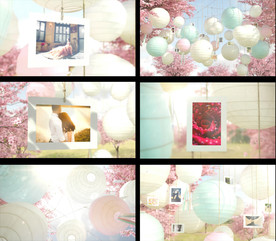 唯美樱花雨中悬挂灯笼婚礼相册