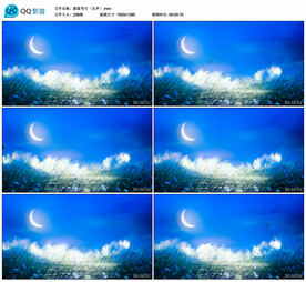 草地夜晚弯月 舞台大屏背景视频