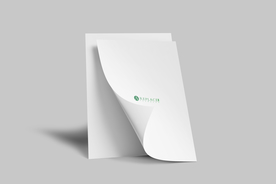 常规宣传单页样机