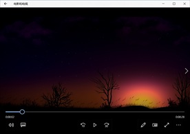 清晨阳光森林自然风景植物花卉生