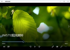 清晨阳光森林自然风景植物花卉生