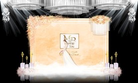 香槟色主题婚礼舞台效果图