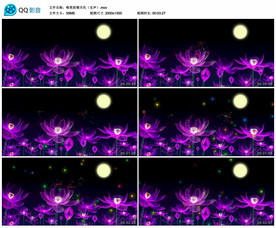 梦幻荷塘月色 舞台背景视频素材