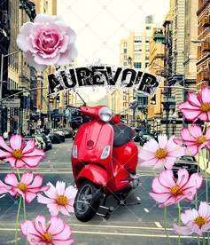 印花图案摩托车