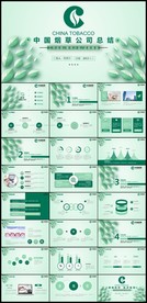 大气精美中国烟草局工作总结计划