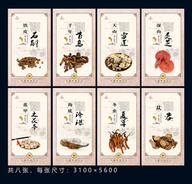 中草药展板