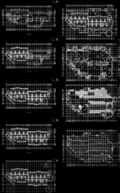 建筑排水系统图