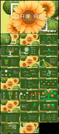 手绘小向日葵新植物教育课件培训