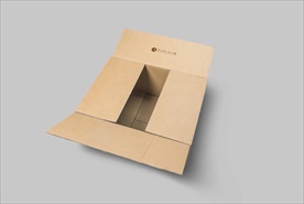纸箱打开样机