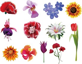 鲜花矢量DIY素材