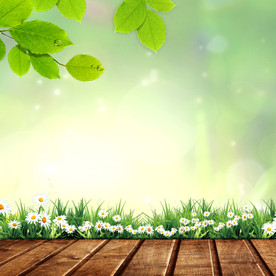 主图设计图片--可商用