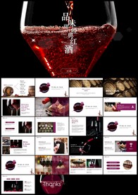 高档红酒干红葡萄酒尊贵欧式风格