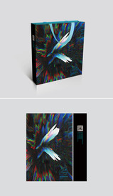 通用最新创意中国风手提袋图片