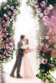 婚纱摄影模板 新款模板 婚纱照