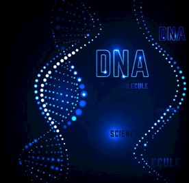 矢量DNA技术分子图象