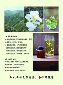 龙柏芽彩页反面