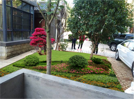 别墅庭院景观效果图