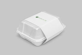 一次性餐盒 样机