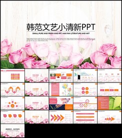 韩范文艺小清新粉色女性PPT