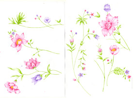 手绘花