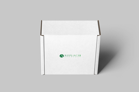 正方形纸箱包装盒样机