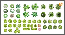 矢量园林手绘绿植系列
