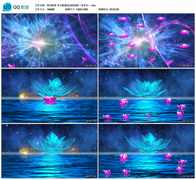 唯美梦幻莲花 舞台背景视频成品