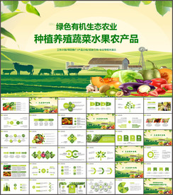 有机蔬菜有机蔬果大棚蔬菜健康
