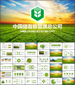 中国储备粮管理总公司中储粮