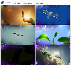 我相信 歌曲MV 舞台背景视频