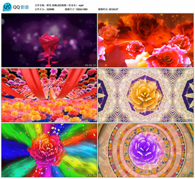 鲜花独舞 舞台大屏背景视频成品