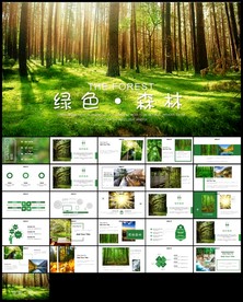 森林植树造林林业木材园ppt