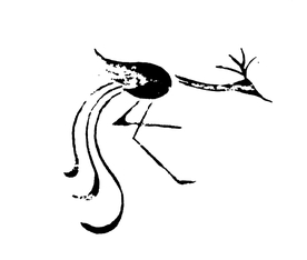 中国古典元素 中国元素 吉祥元