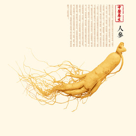 人参 药材