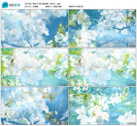 梨花又开放 舞台背景视频成品