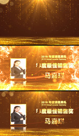 大气新年颁奖人物展示AE模板