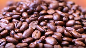 咖啡 粮食 黑色 擦 特写