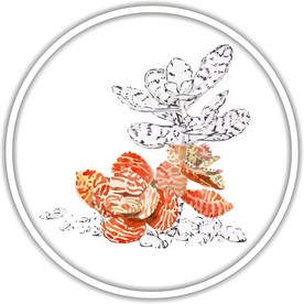 花装饰艺术画作花朵矢量国画水彩