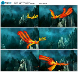 梦幻凤凰飞翔 舞台背景视频素材