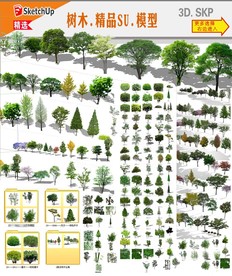 园林树木模型