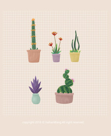 多款手绘多肉植物小盆栽