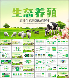 畜牧业养殖业奶牛农业农场牧场