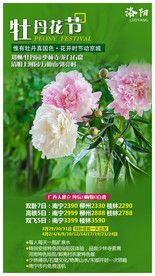 洛阳牡丹节 河南旅游