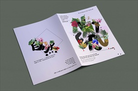 环保自然花艺封面