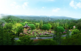 森林游步道效果图